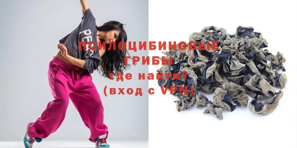 apvp Протвино