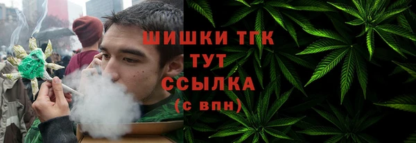 эйфоретик Белокуриха