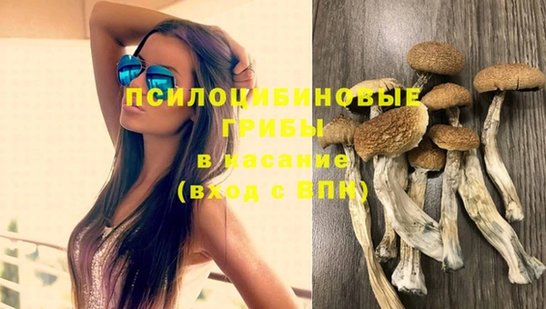 винт Приозерск