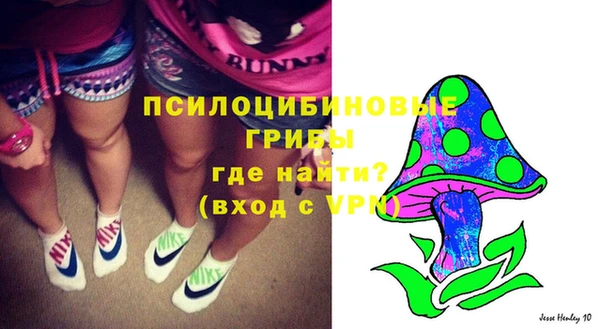 apvp Протвино