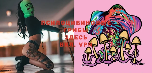 apvp Протвино