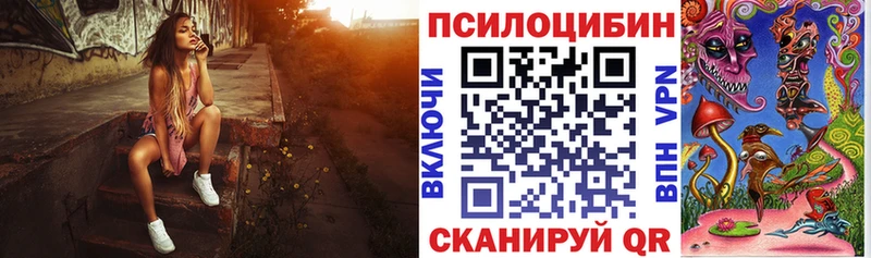 где продают   Чусовой  Галлюциногенные грибы Cubensis 